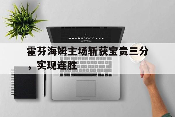 九游官网官方入口-霍芬海姆主场斩获宝贵三分，实现连胜