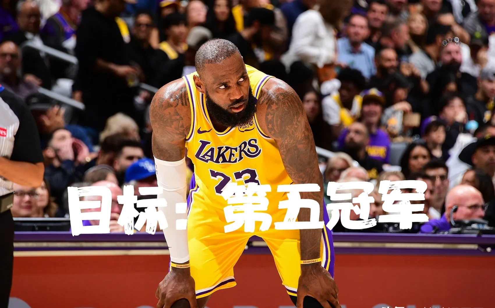 詹姆斯重返赛场，晋级下一阶段首场状态出色，法国队观众沸腾！的简单介绍